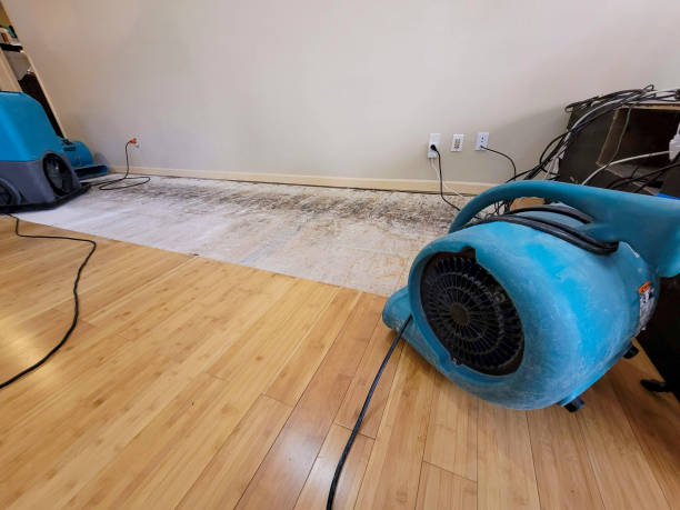 Professional Burst Pipe Water Damage technician working in Raymond, ME